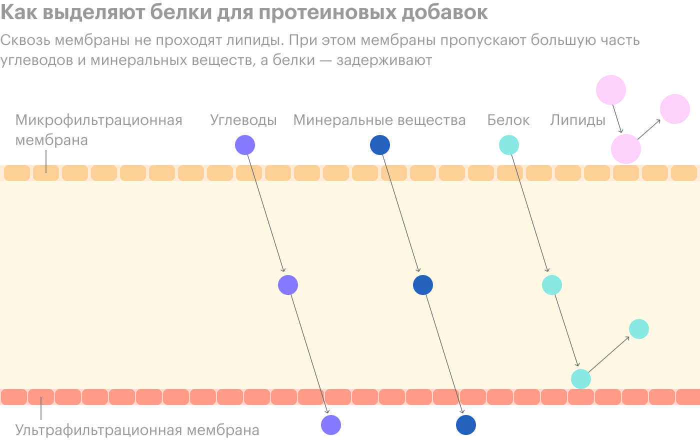 Мембрана — обычный фильтр, который просто отделяет белок от других веществ, никак не изменяя его состав