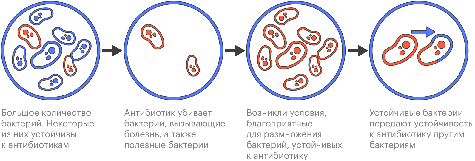 Резистентность к антибиотикам может стать глобальной проблемой