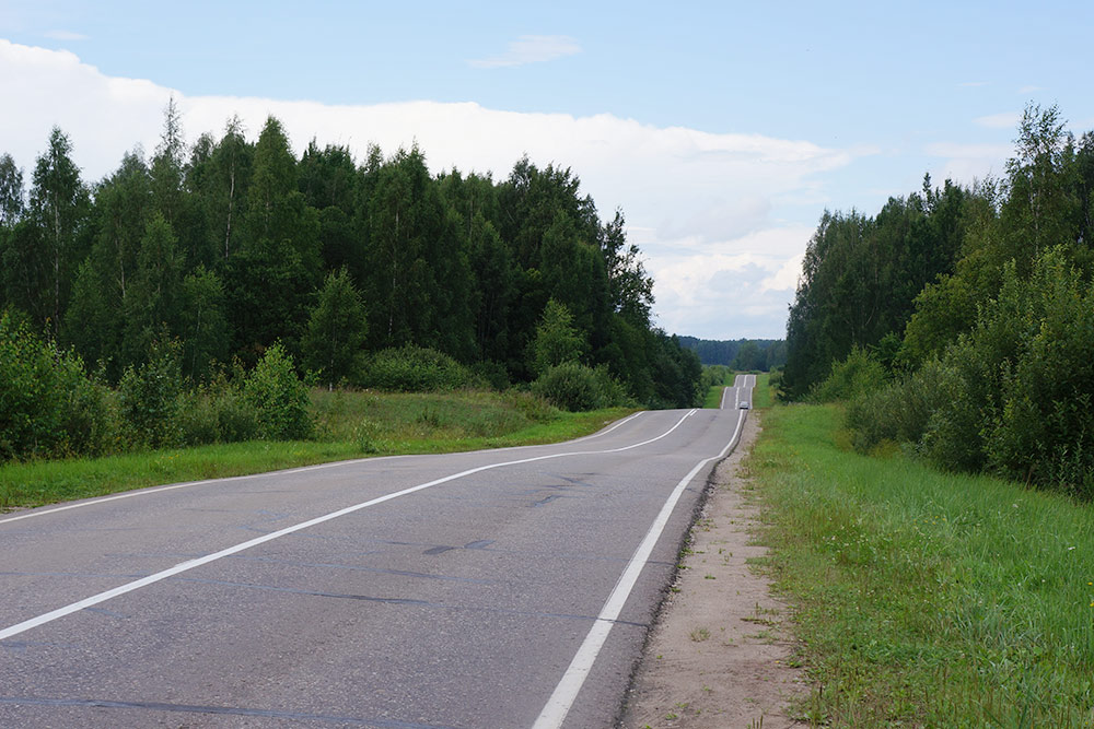 Пушкинские Горы — это не только название. Местами там вот такие горки. Однажды мы за день накатали там 50 км на велосипедах. Ночью эти горки мне снились