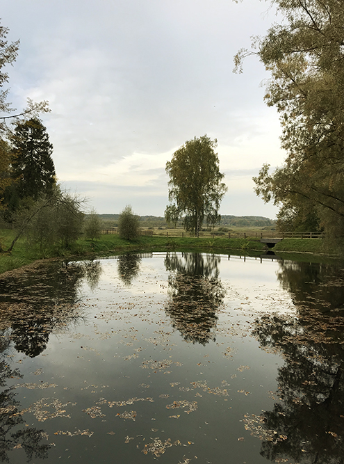 Кругом много воды: пруды, река, озеро