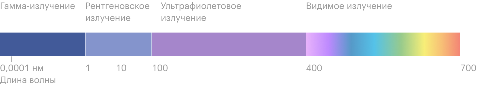 Ультрафиолетовые лучи не активируют светочувствительные белки в наших глазах, поэтому мы их не видим