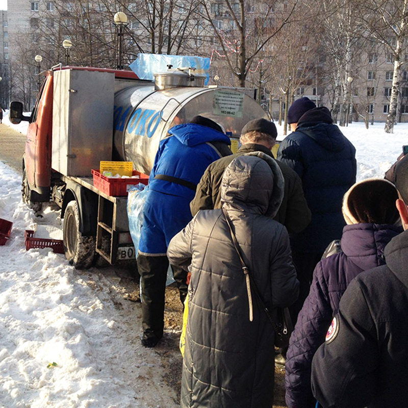 Даже зимой в мороз и гололед за молоком совхоза в Петербурге стоит очередь