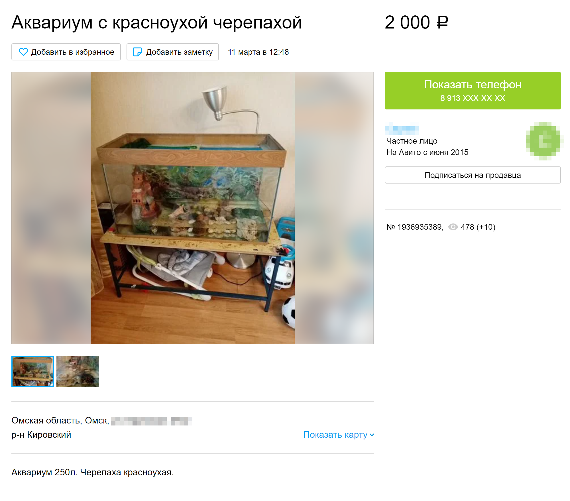 Вот продают маленькую черепашку с аквариумом за 2000 ₽. Источник: avito.ru