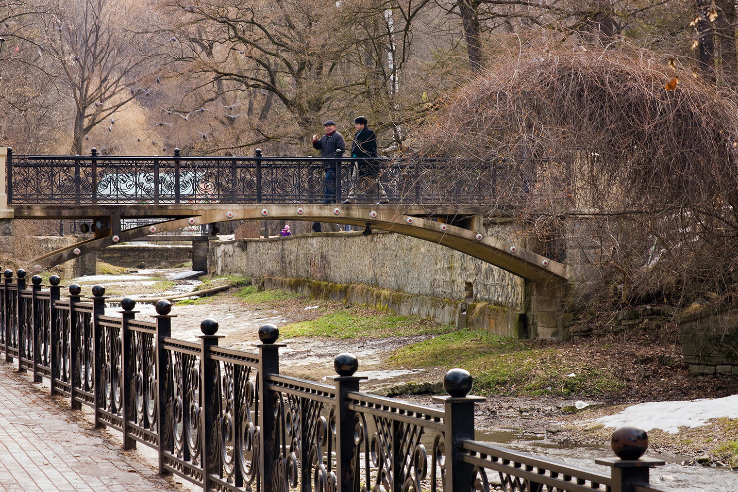 Фотография: marlenka / iStock