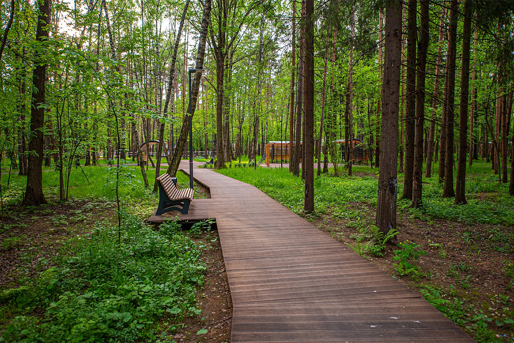 Парк «Раздолье». Источник: park-razdolye.ru