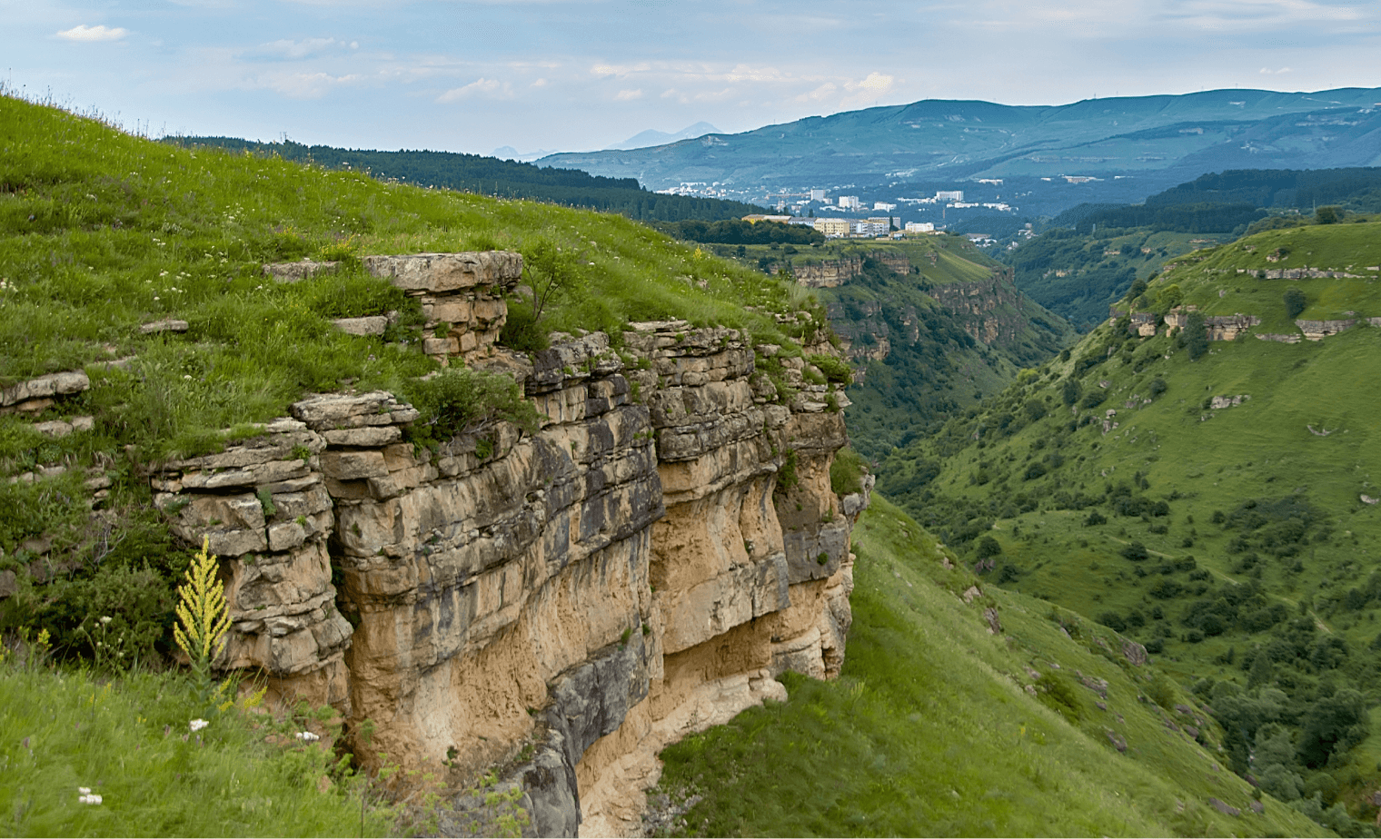 тест альта