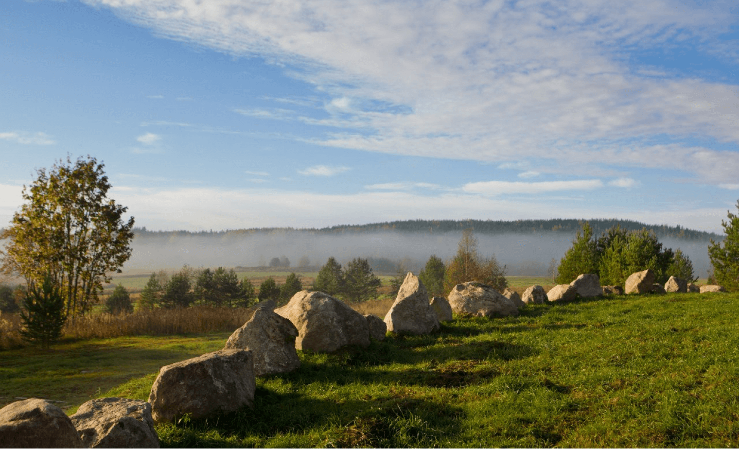 тест альта