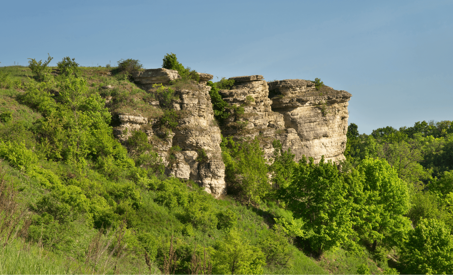 тест альта