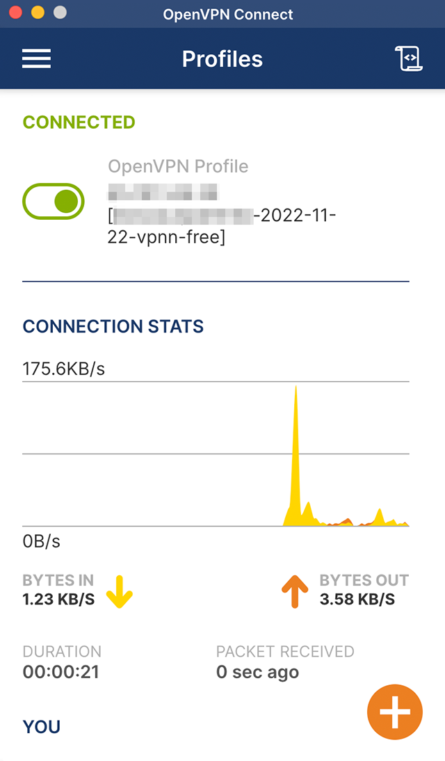 Интерфейс OpenVPN. Источник: openvpn.net