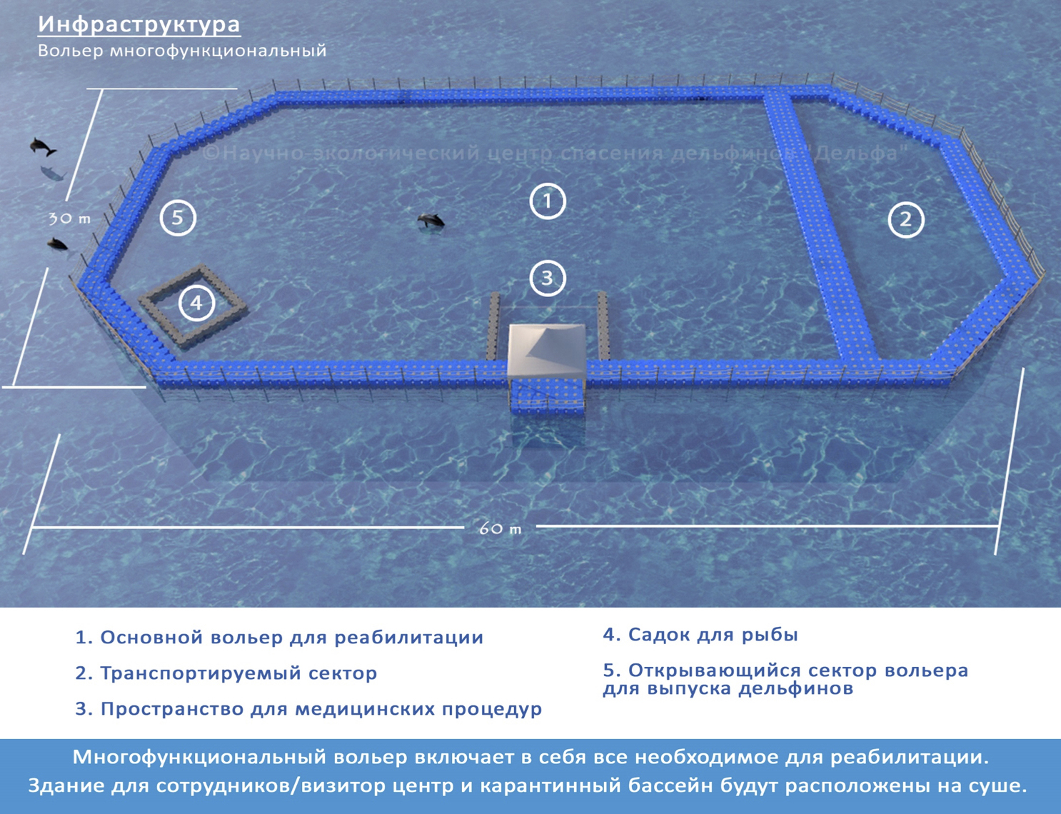 Такой вольер для реабилитации мы хотим создать. Фотография — «Дельфа»