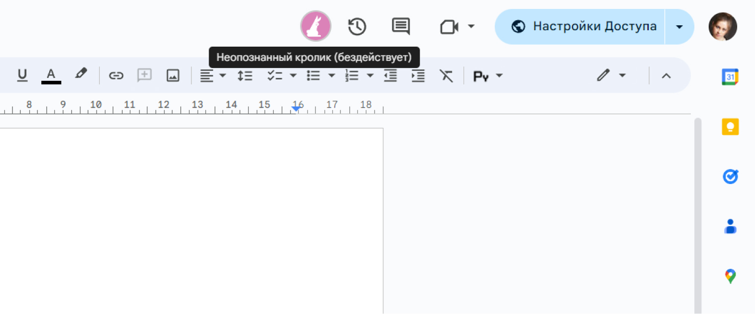 Анонимные пользователи в Google Docs обозначаются названиями животных: например, «неопознанный кролик» или «неопознанная капибара»