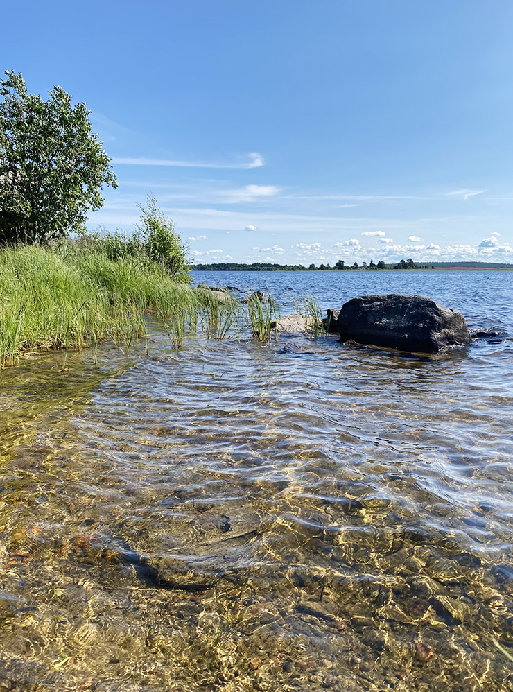 Несколько фотографий из моего летнего отпуска. Даже после сильного дождя выглядывает солнышко. Ф — философия