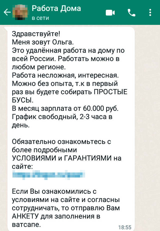 Чтобы устроиться, не понадобятся собеседования и проверки: достаточно написать в «Вотсап» и заполнить анкету