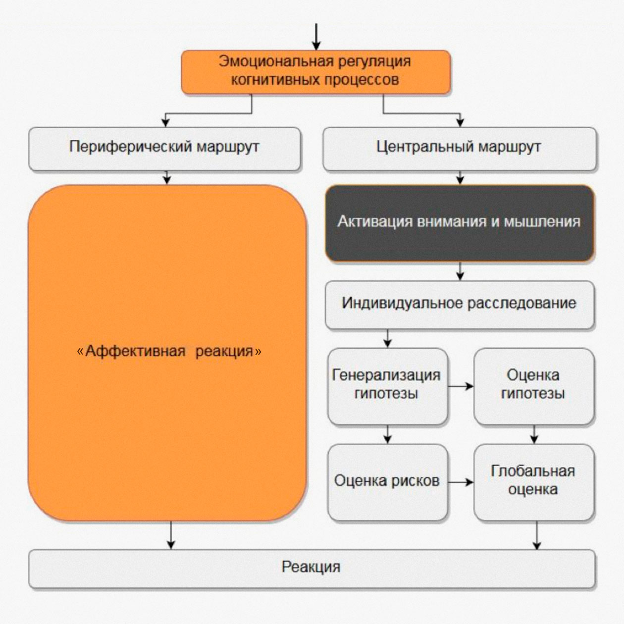 В спокойном состоянии мозг проводит решение через множество фильтров, как на маршруте справа. Но в моменты стресса все фильтры отключаются и решения принимаются мгновенно, как на маршруте слева