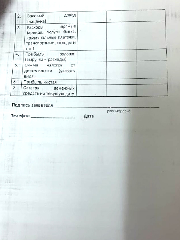 Это образец бизнес-плана, который давали в управлении соцзащиты Нижнего Новгорода. Он очень сжатый, мои клиенты используют эту анкету как резюме проекта