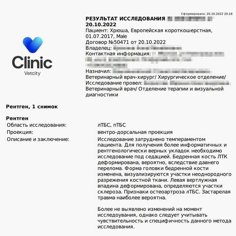 В заключении из клиники лишь написали, что у кота старая травма, — это я и так уже знала и сама рассказала про нее на приеме