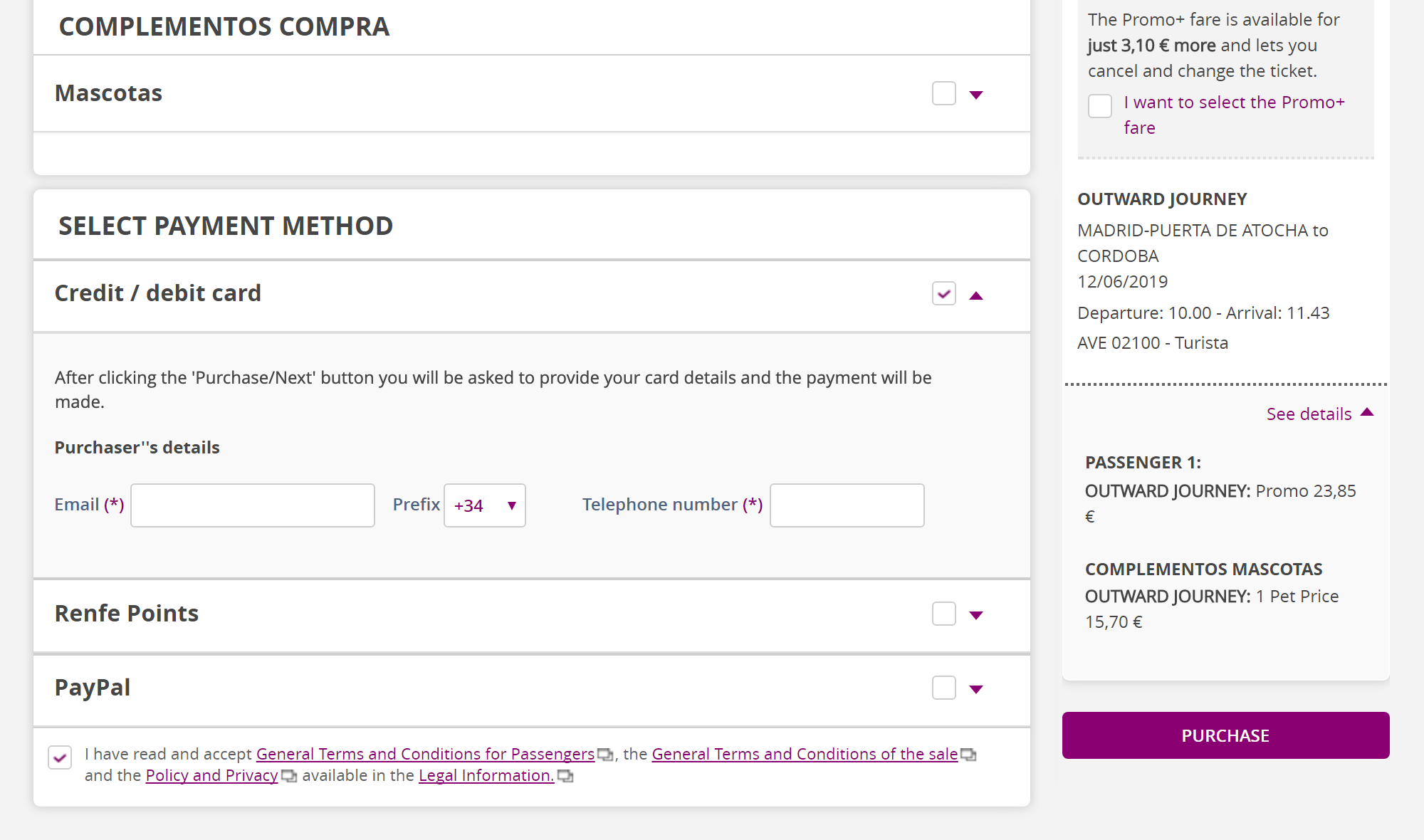 Если вдруг вы едете с домашним животным, ставьте галочку в окошке Mascotas. Внизу надо отметить галочкой, что вы прочитали и согласны с правилами перевозки. В конце надо нажать «Купить» — Purchase — и на следующем шаге ввести данные карты
