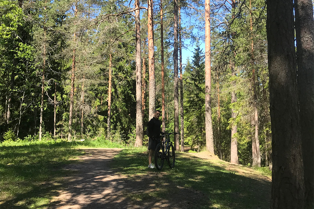 Зеленогорск и его окрестности. На мой взгляд, вся природа того направления на одно лицо. В Комарове и Репине такая же природа и такие же потрясающие сосны. А еще в Ленобласти всегда прекрасное небо