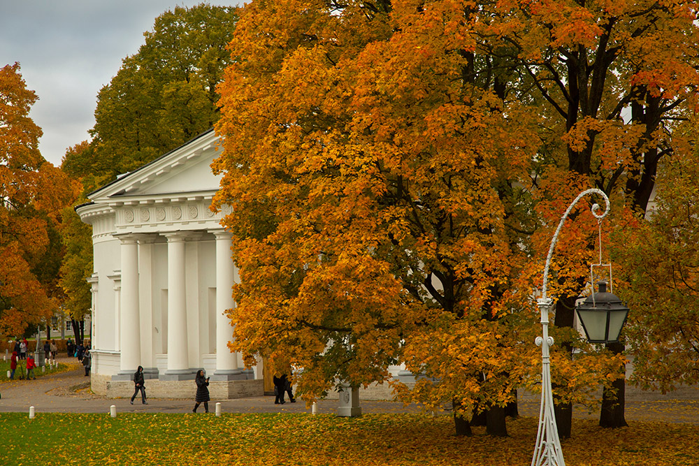 Фотография: Podolnaya Elena / Shutterstock / FOTODOM