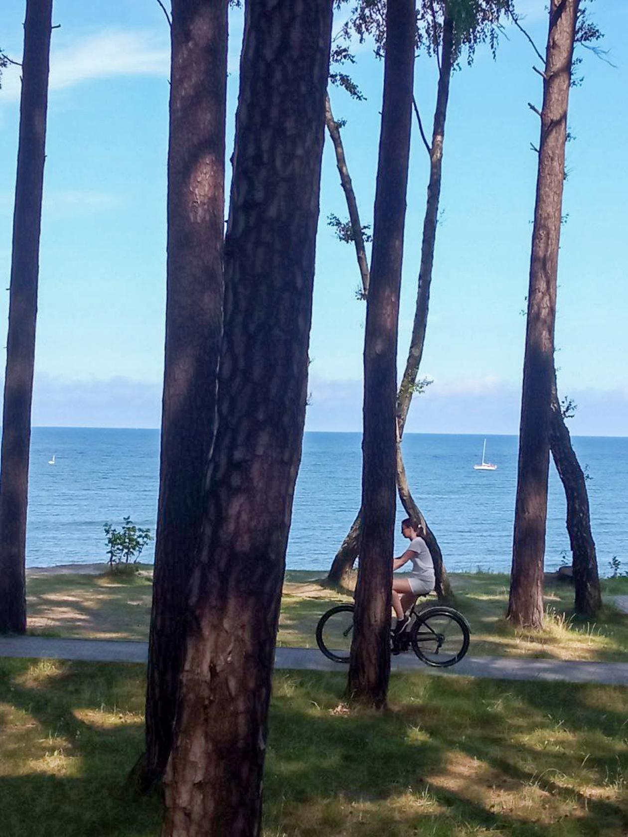 Это парк «Сосновый бор» на берегу Балтийского моря в Пионерском. Наш дом находится рядом с парком