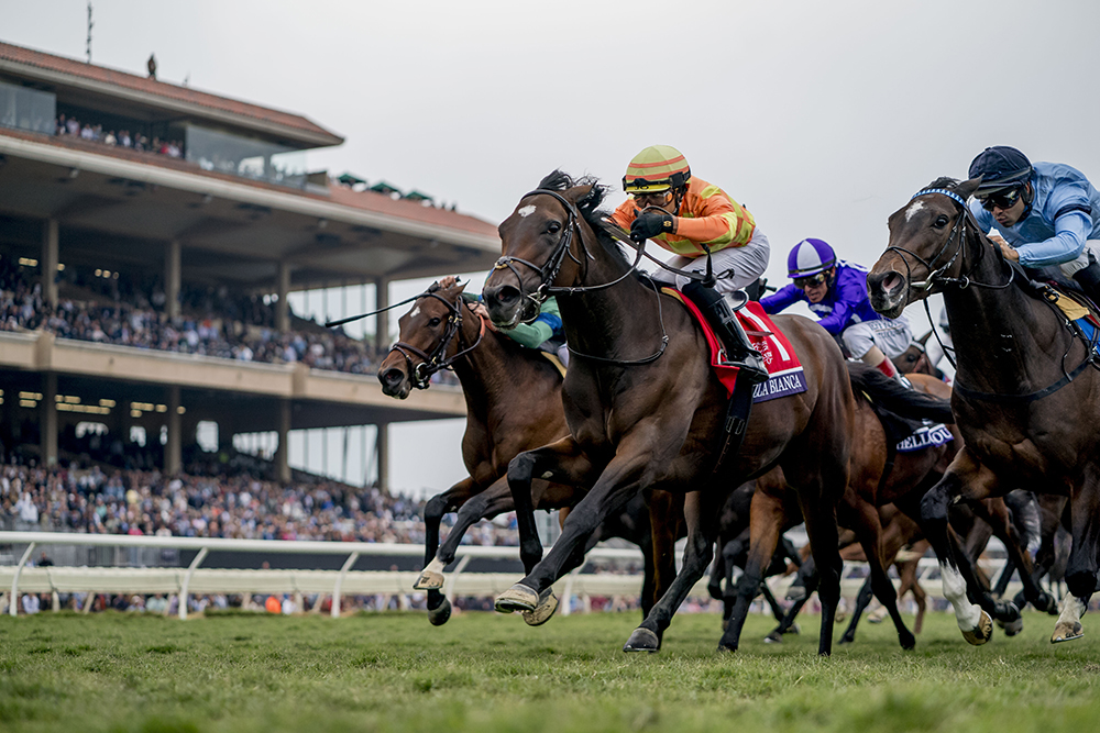 Чемпионат Breeders’ Cup Del Mar 2021 в самом разгаре. Источник: Breeders’ Cup Gallery