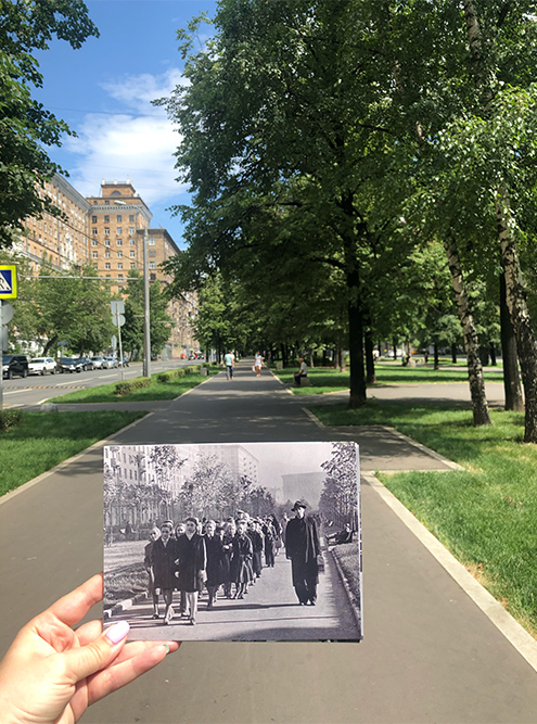 Самая трогательная фотография этой серии