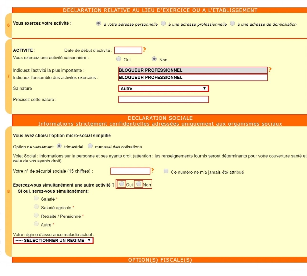 Еще надо указать дату начала работы предприятия, вид деятельности, например профессиональный блогер, номер медицинской страховки. Налоги можно платить раз в один или три месяца