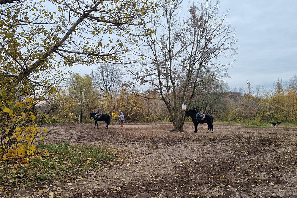 В парке «Соколиная гора» можно взять урок верховой езды, занятие стоит 2500 ₽