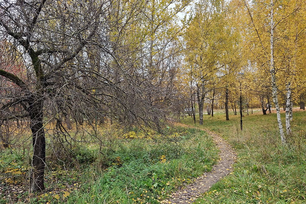 В парке до сих пор кое-где сохранились дикие тропы