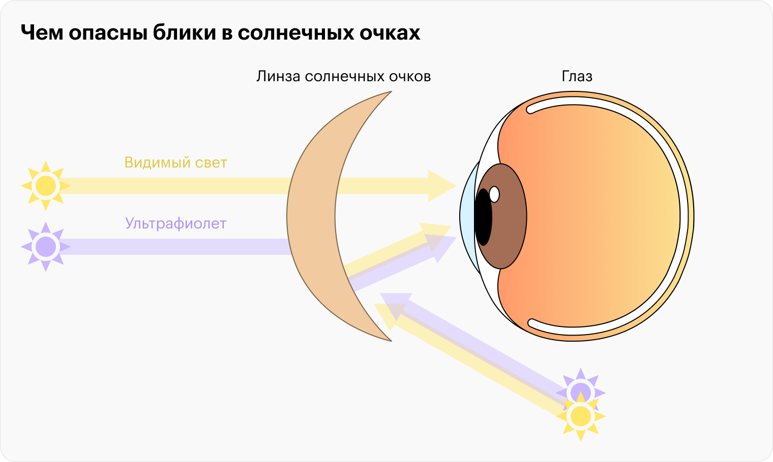 Слева солнечный свет падает на выпуклые поверхности линз, которые отфильтровывают ультрафиолет и пропускают к глазам только видимый свет. Справа солнечный свет падает на вогнутые поверхности линз и отражается от них, так что в глаза попадает и видимый свет, и ультрафиолет. Источник: ncbi.nlm.nih.gov