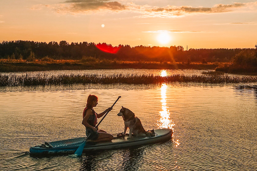 Наверное, здорово встретить закат с собакой на сапе. Источник: doggo⁠-⁠sup.ru