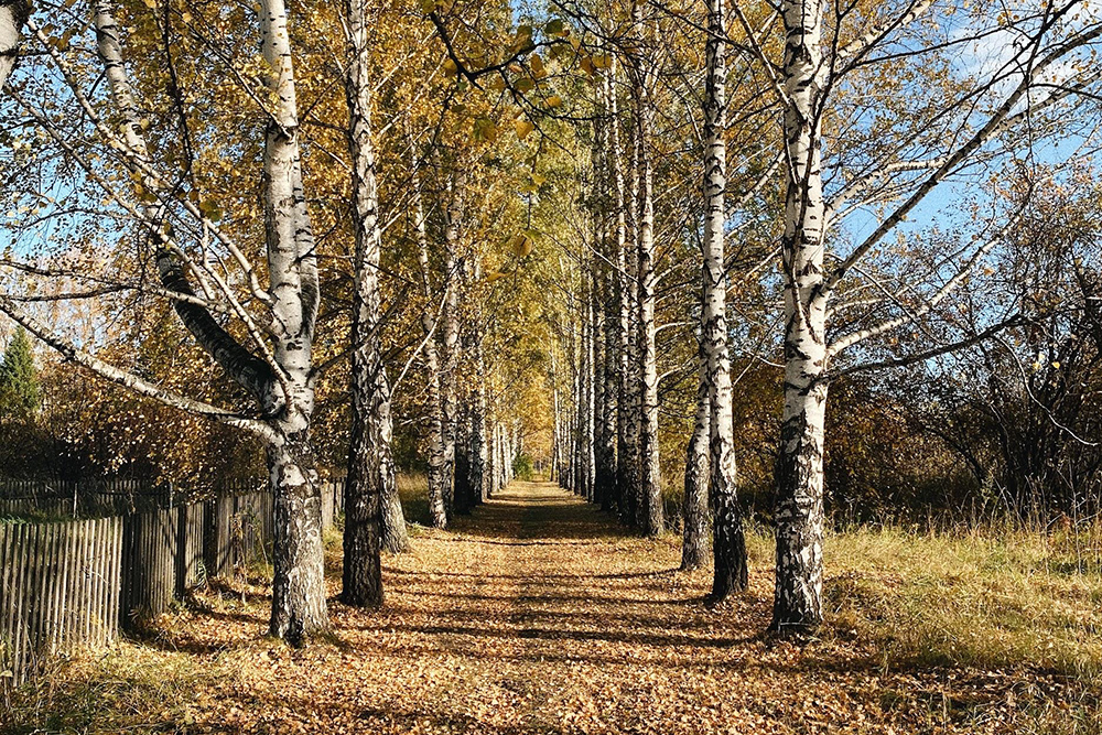 И любовался природой