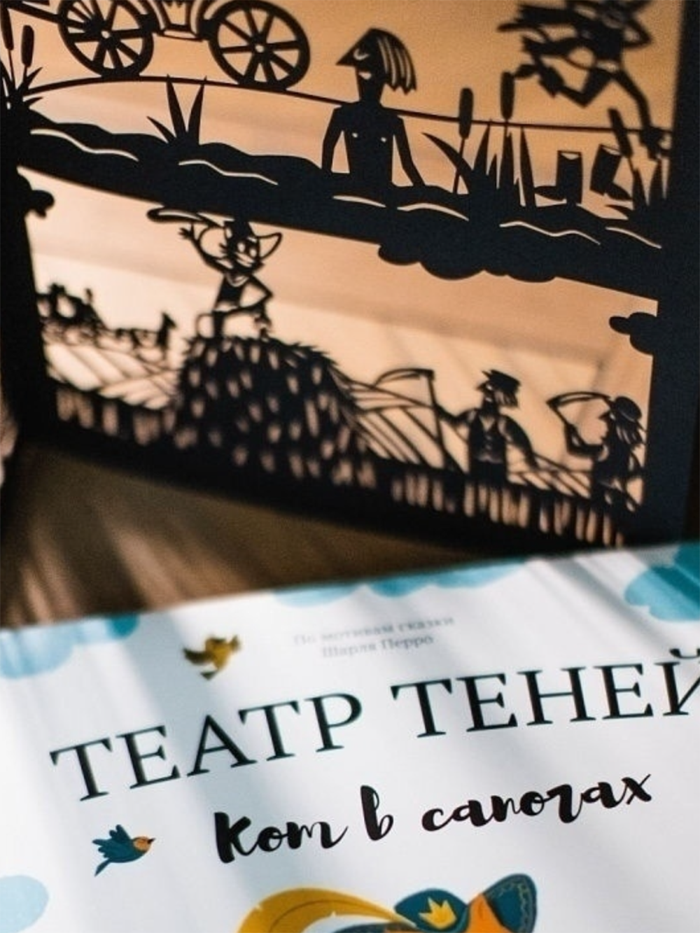 Пример театра теней в виде книги. Здесь нет ширмы: страницы из книги просвечиваются и дают тень на стену. Источник: wildberries.ru