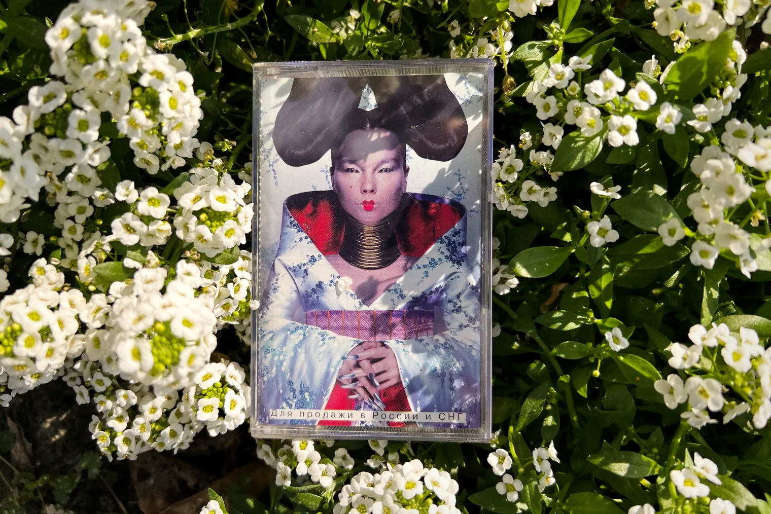 Третий альбом Бьорк Homogenic вышел в 1997 году. Для меня это пример музыки вне времени. Эту кассету я купил в 1999 году, а сам альбом изредка переслушиваю до сих пор на разных носителях