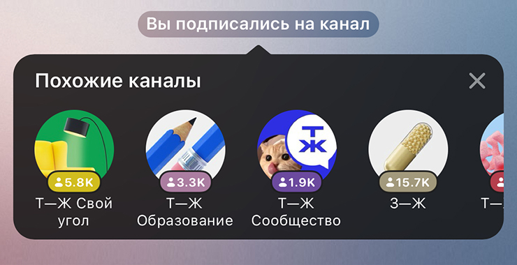 Под аватаркой канала указано число подписчиков