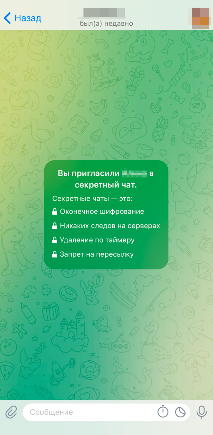 Главный экран секретного чата с перечислением всех преимуществ