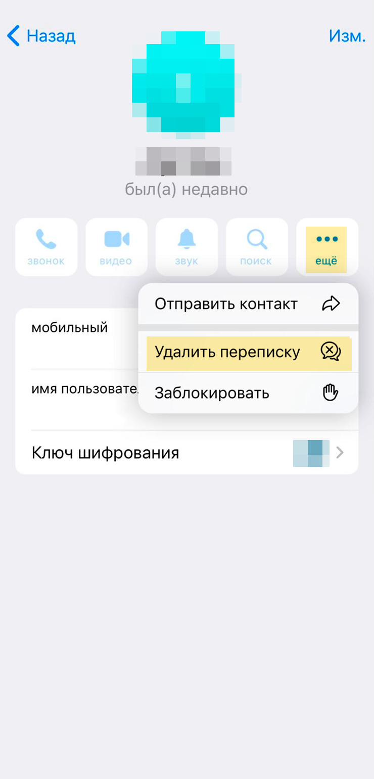 Можно не удалять чат, а просто очистить переписку. Для этого нажмите на аватар собеседника → «Еще» → «Удалить переписку»