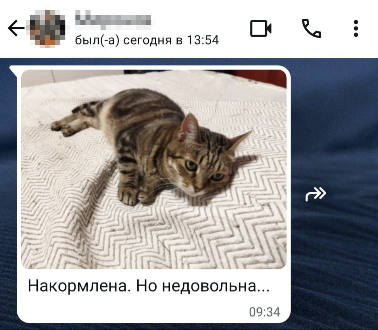 Фотоотчет от котоняни