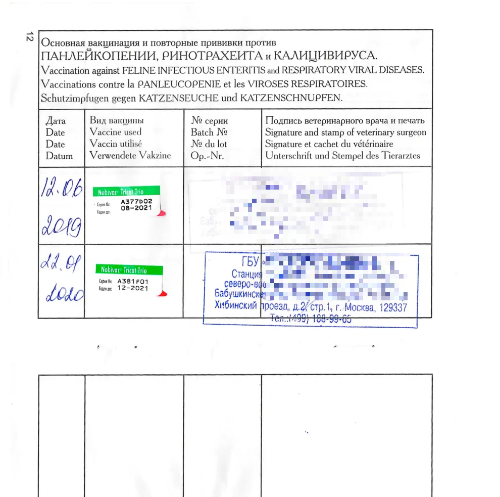 Так выглядит паспорт готовой к поездке кошки