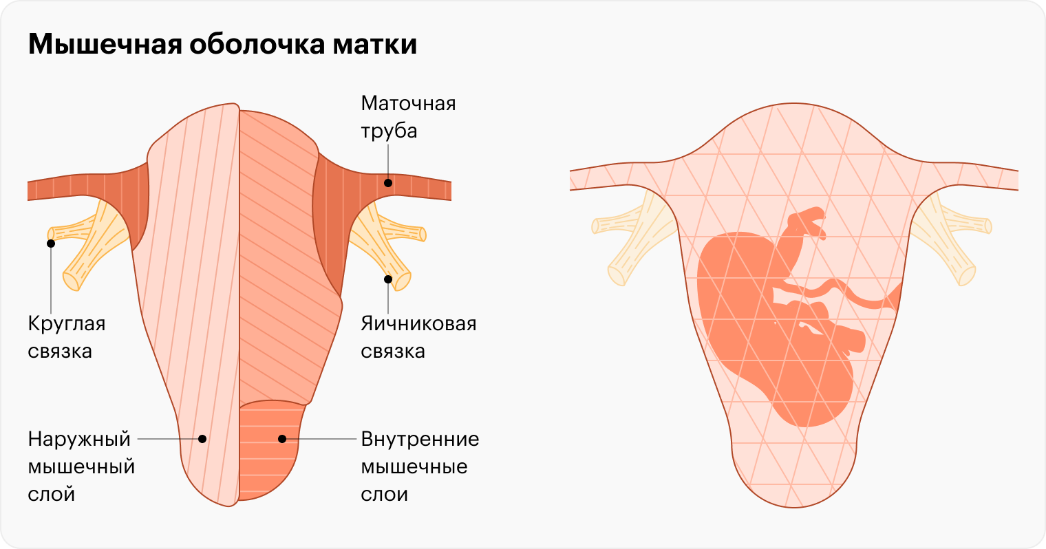 Мышечные волокна матки расположены в три слоя. Во время родов они сокращаются в трех разных направлениях, что создает ощущение сильного спазма