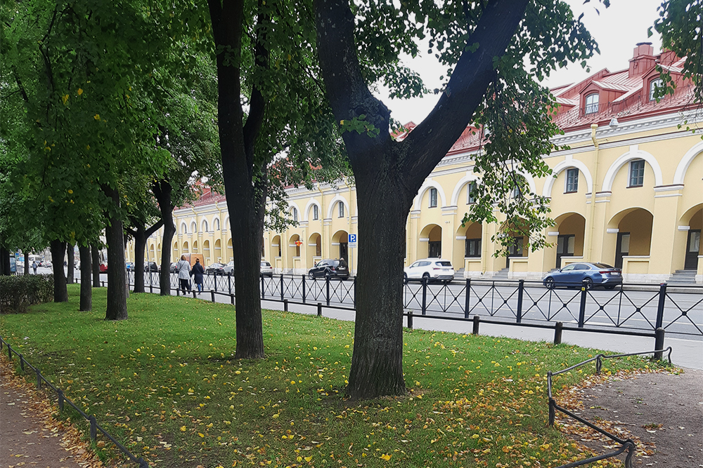 Стационар находится в центре города, недалеко от Сенной площади. Во время пандемии туда я ездила на такси, а возвращалась пешком. Называла это «лечебной прогулкой», потому что помогало отвлечься