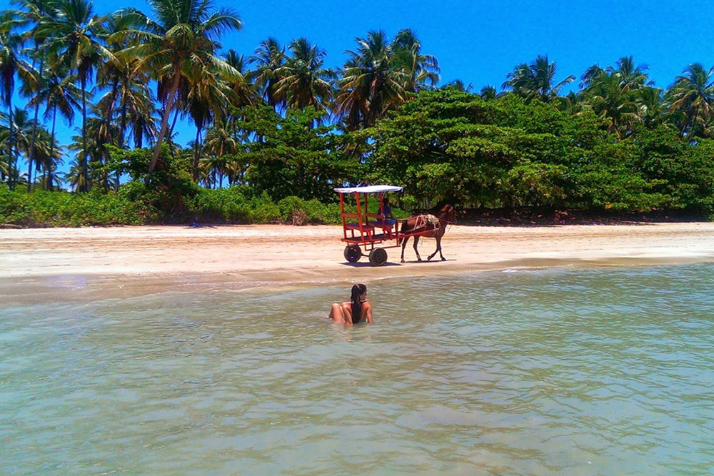 До соседнего пляжа можно доехать на повозке за 40 BRL (609 ₽). Источник: beach-on-map.com