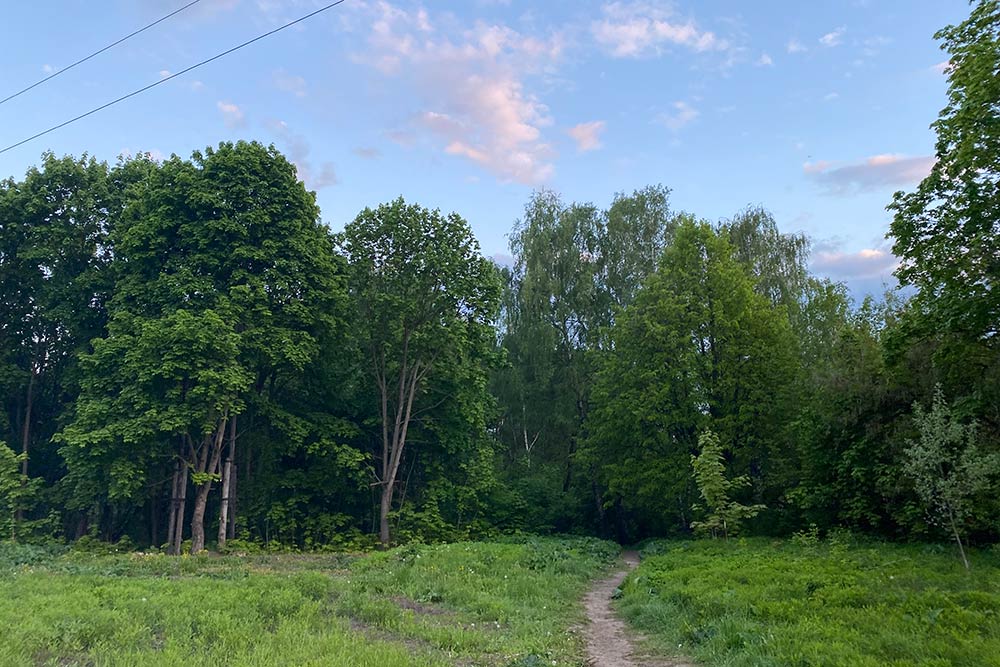 В Туле можно пойти гулять по городу и внезапно оказаться в лесу. Вот это, например, дикая часть Рогожинского парка в спальном районе. Он тихий и спокойный, там всегда мало людей. Рогожинский парк — следующий в очереди на благоустройство. В нем расчистили пруд, а теперь планируют сделать дорожки и детские площадки