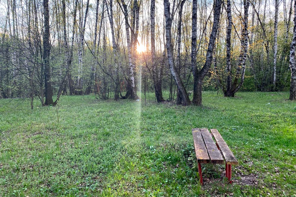 В Хомякове есть потайные места с лавочками. А рядом — большой пруд