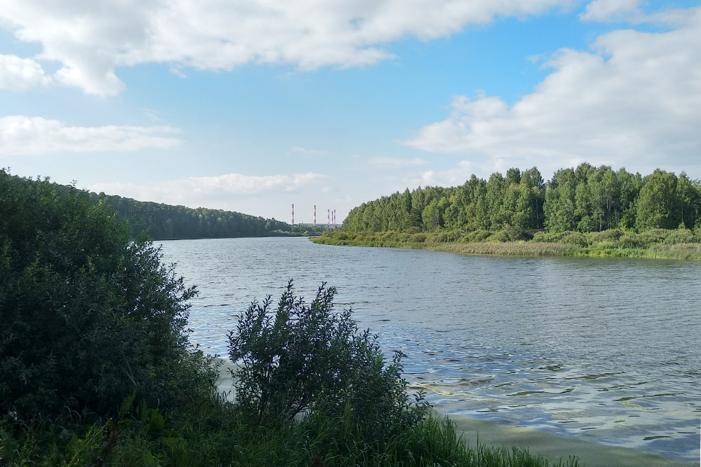 Вид на озеро Кривое со смотровой площадки