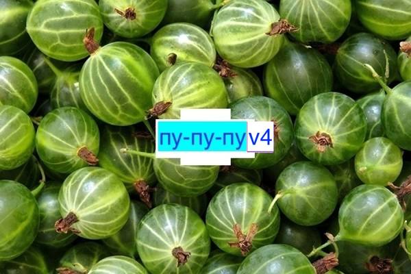 Юля222222 