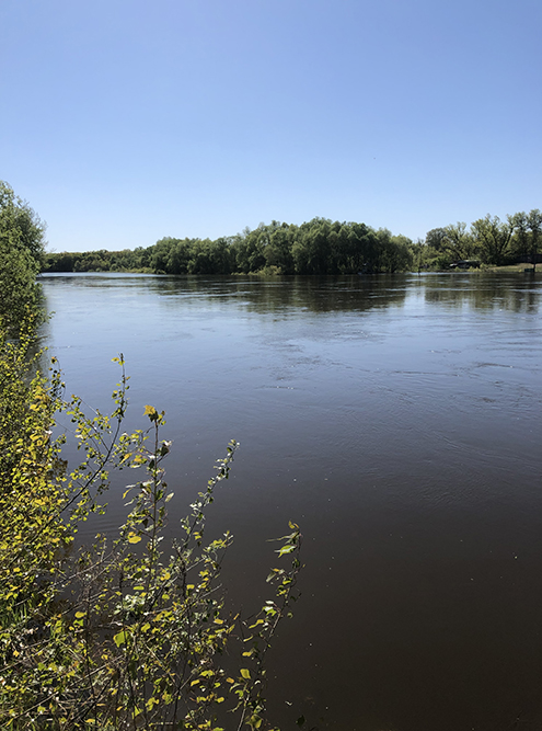 Вид на реку Хопер и городской пляж во время половодья