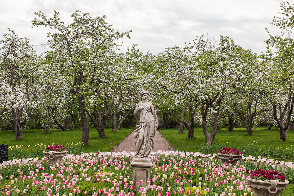 Фотография: ted.ns / Shutterstock / FOTODOM