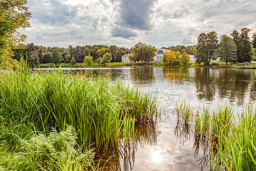 Фотография: olegpodi / Shutterstock / FOTODOM