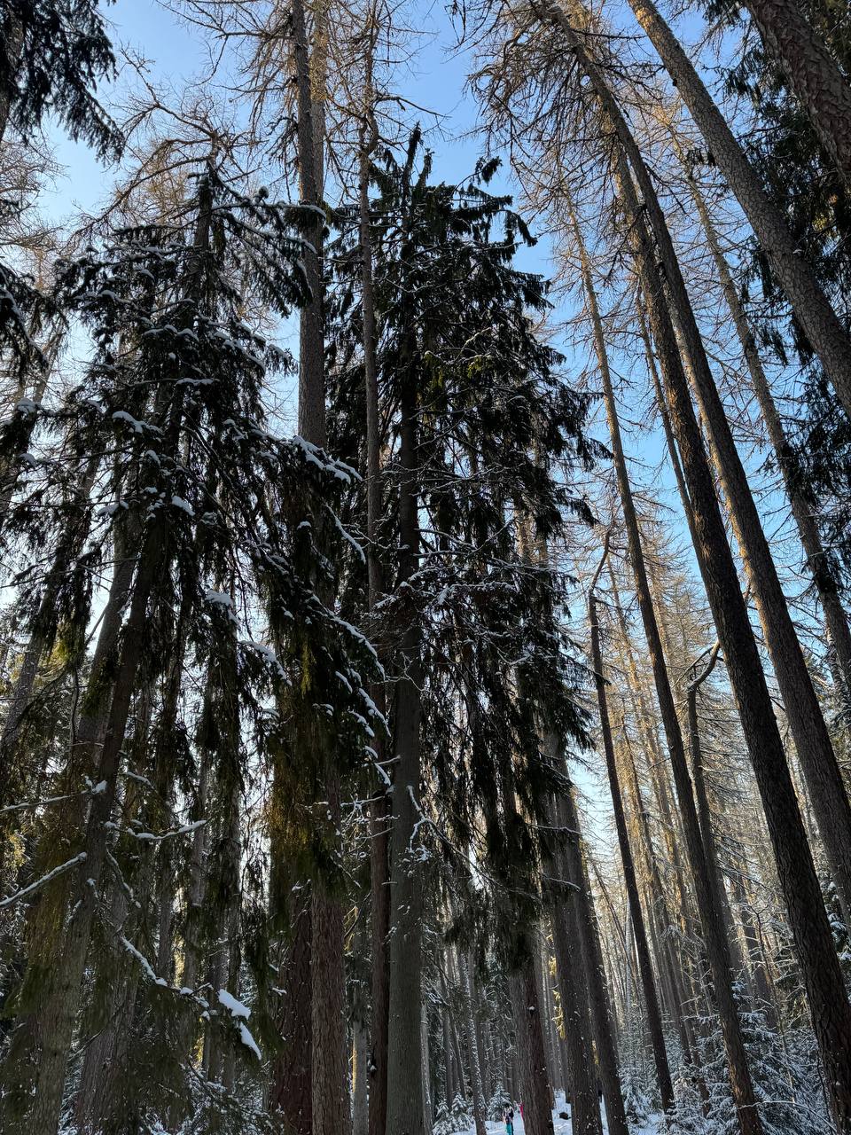 четвертая